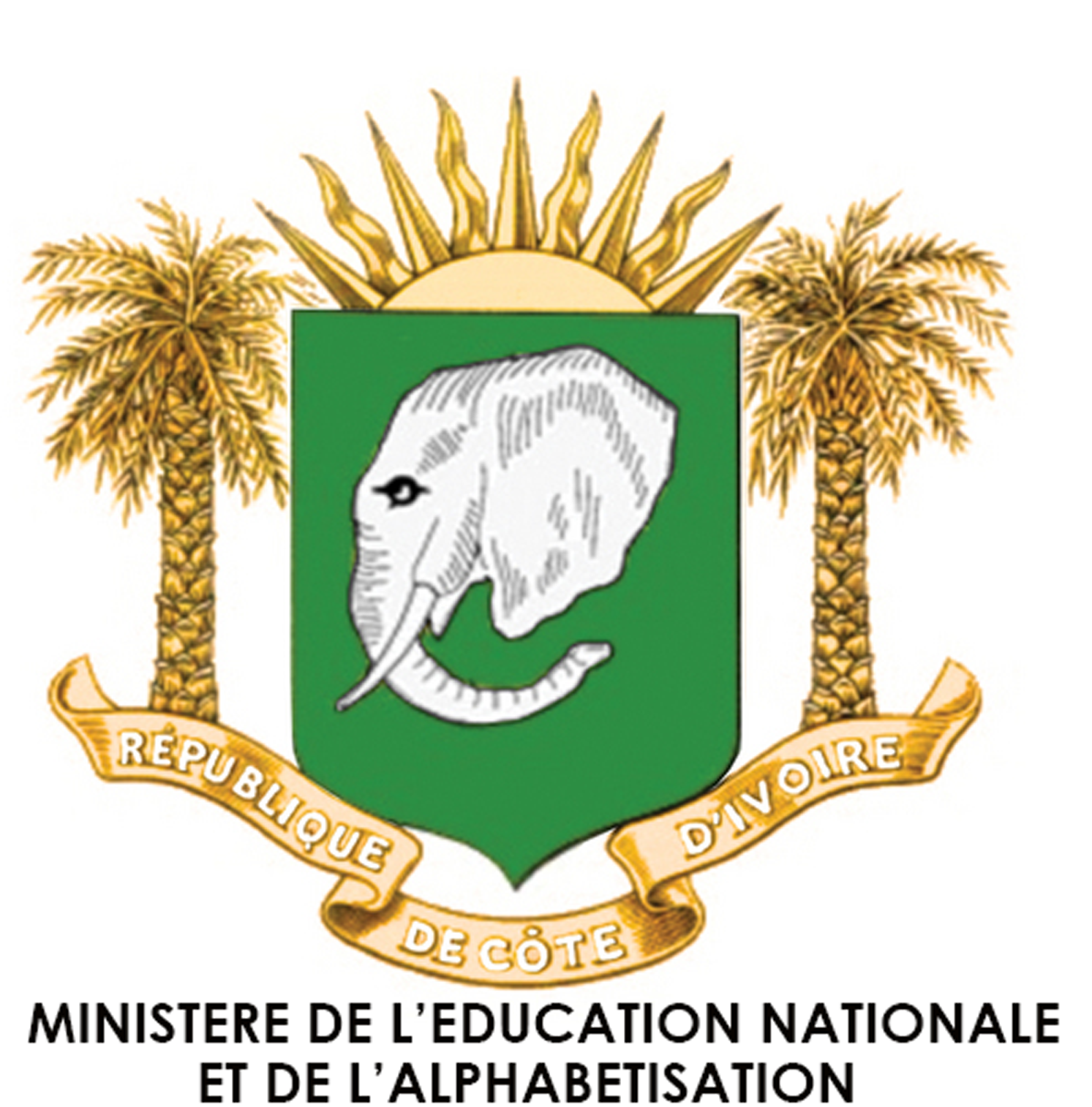 Amoirie CI